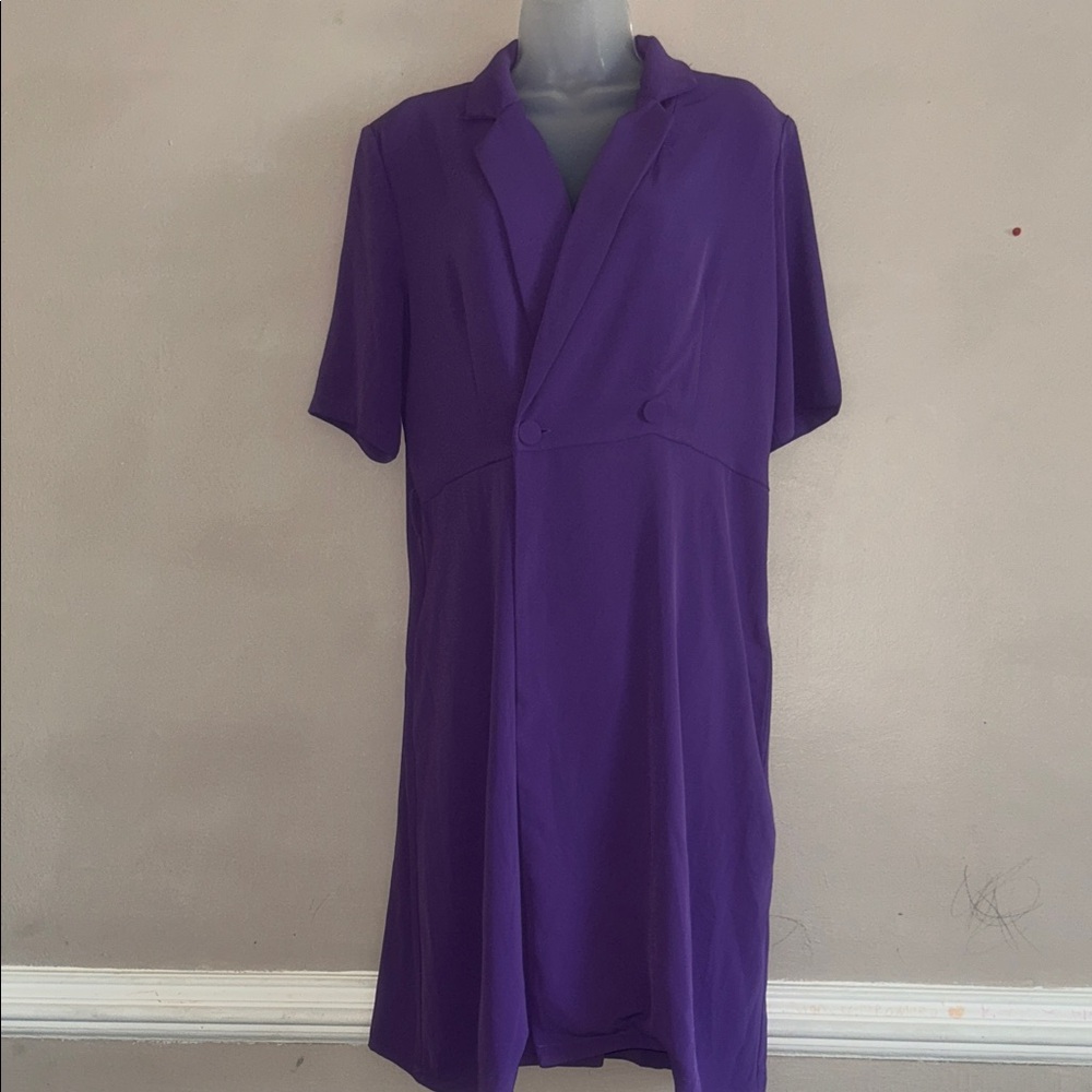 Ovi Purple Asymmetrical Dress